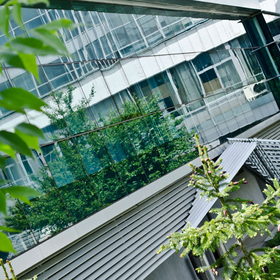 dsc0084-copy_280x280_crop_478b24840a