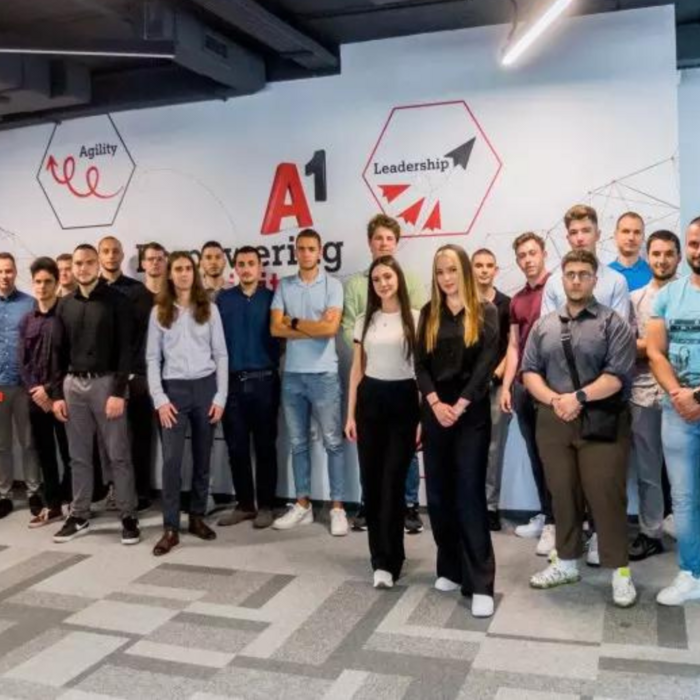 a1_700x700_crop_478b24840a