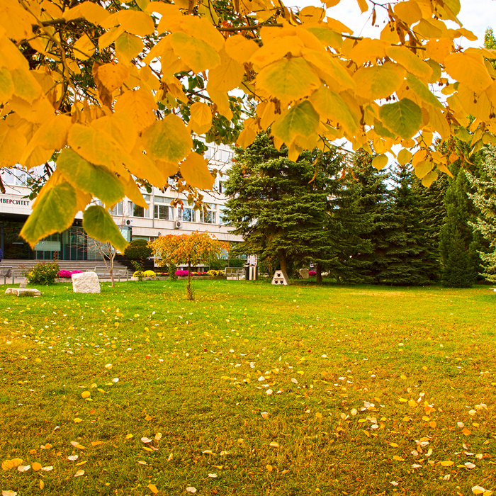 dsc-0047_700x700_crop_478b24840a